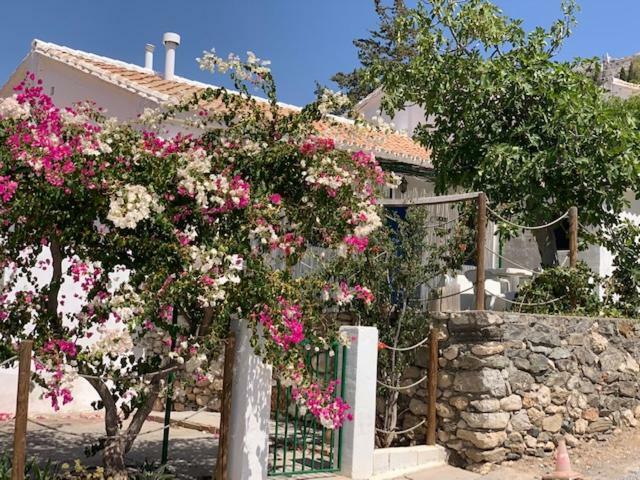 Casa Isabel - La Almona Chica ξενώνας El Chorro Εξωτερικό φωτογραφία