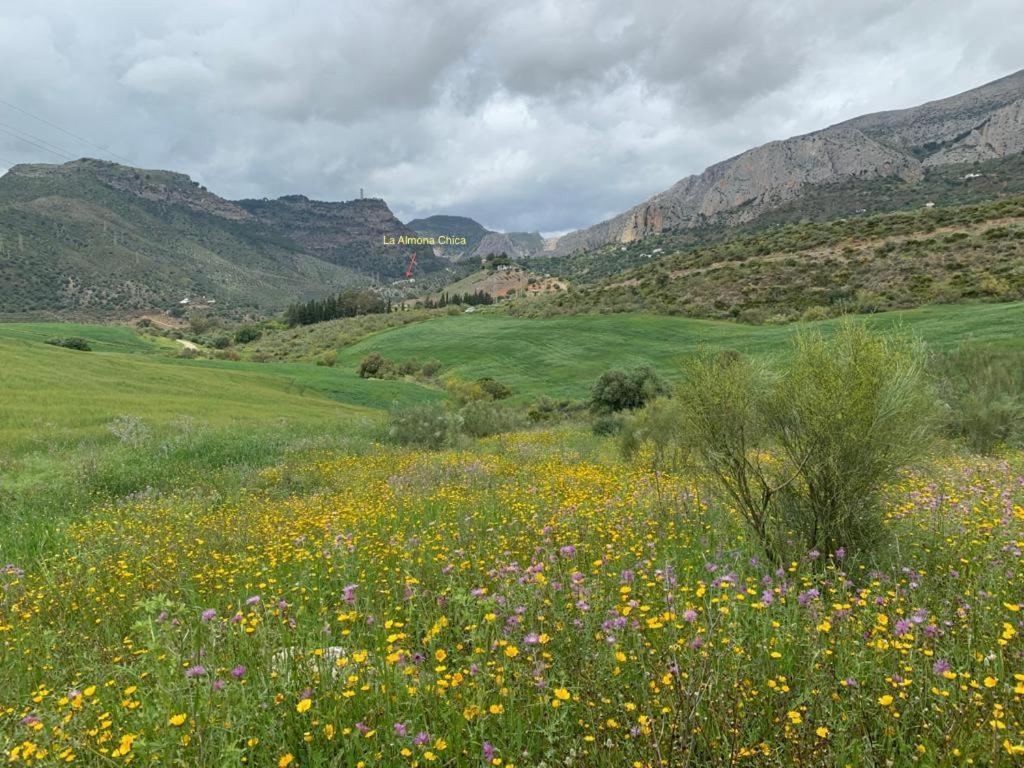 Casa Isabel - La Almona Chica ξενώνας El Chorro Εξωτερικό φωτογραφία